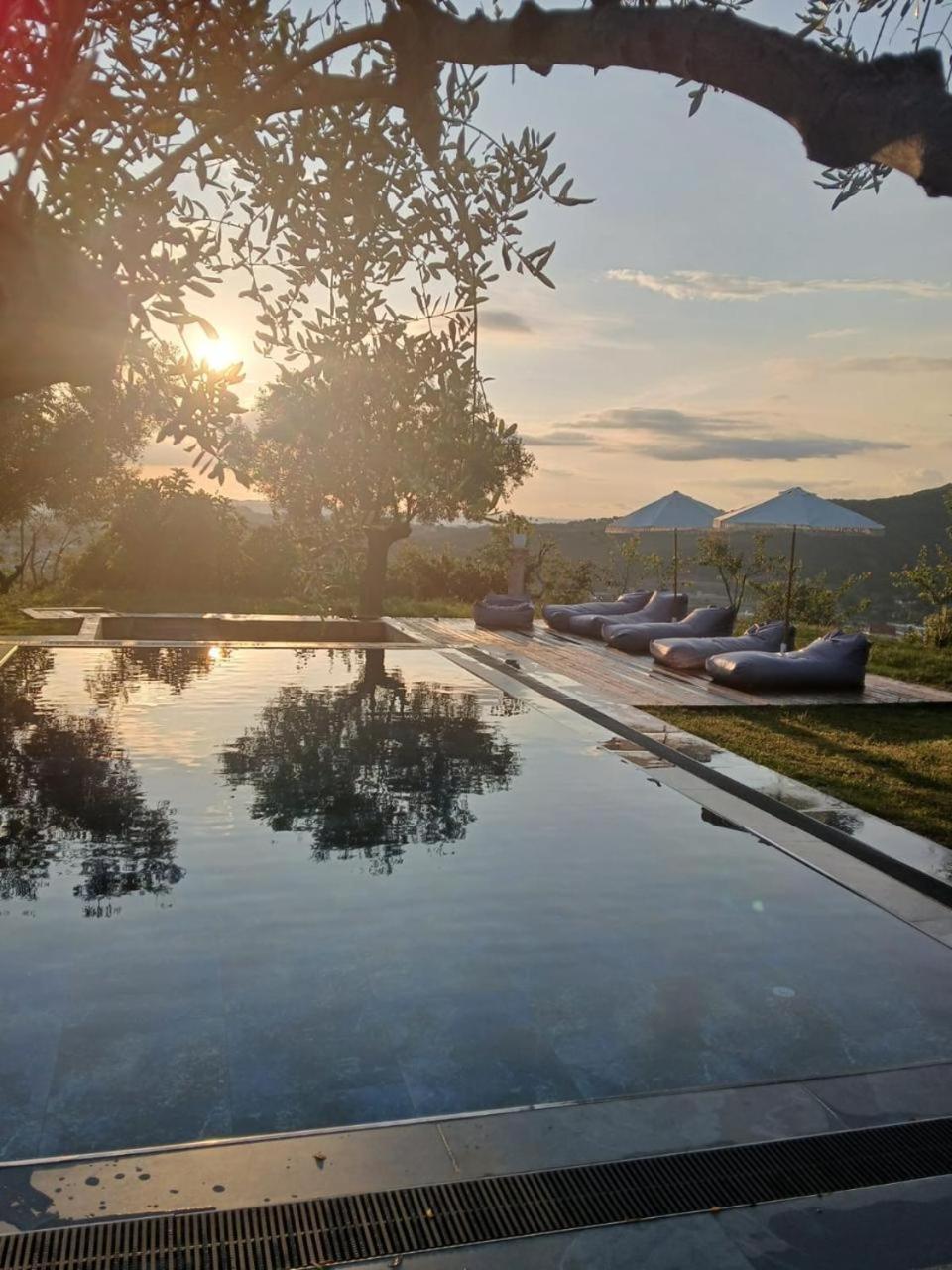 Villa Kamila Tiranë Ngoại thất bức ảnh
